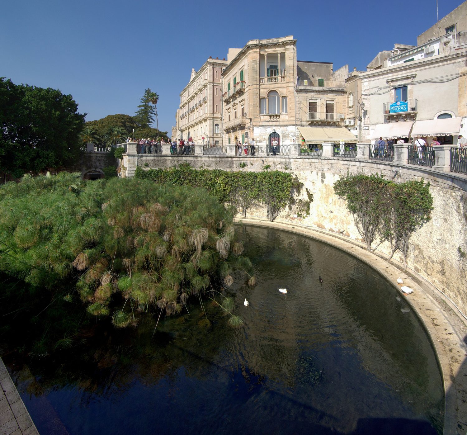 Fonte Aretusa, Ortigia